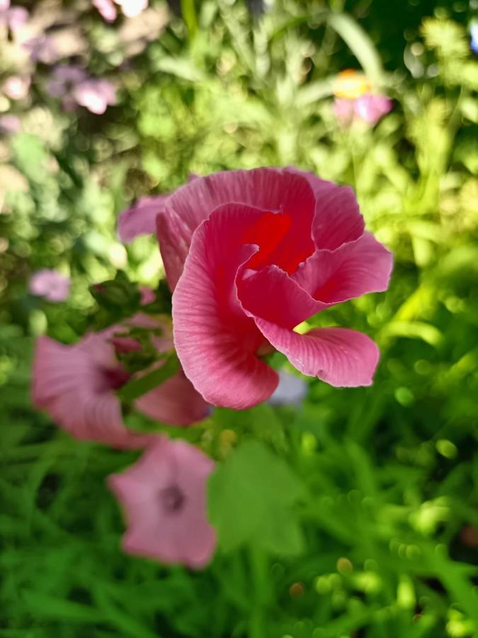 With A Garden * Milano